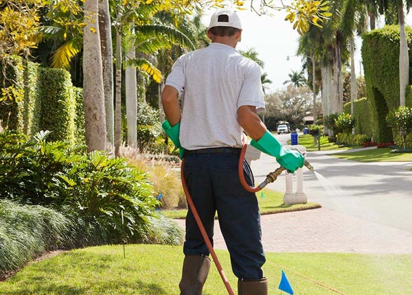 About Lejunior KY Pest Control